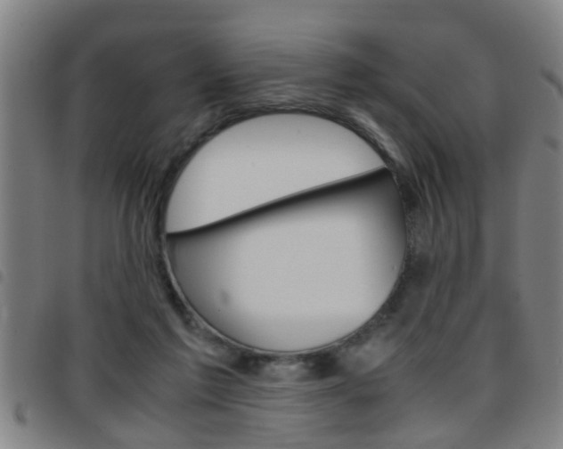 X0000097860213200803140903