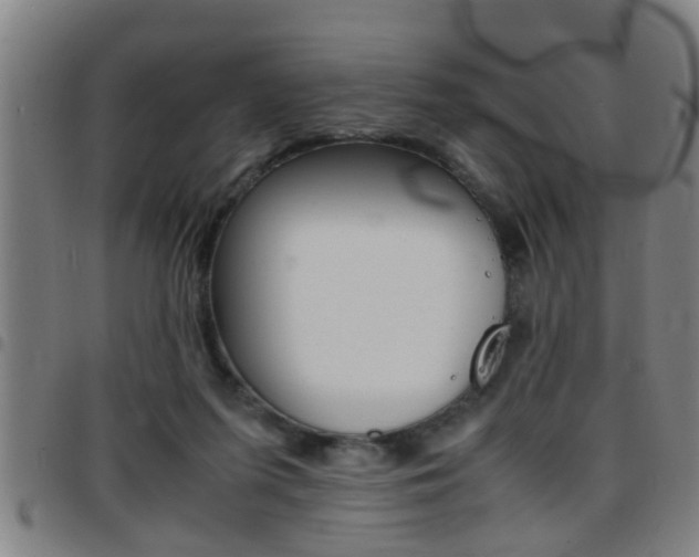 X0000097860215200803140903