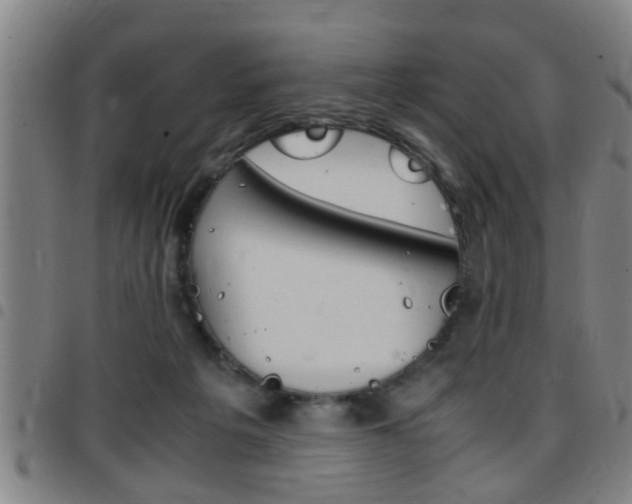 X0000097860217200803140903