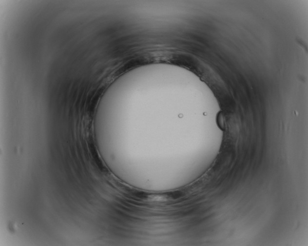 X0000097860218200803140903