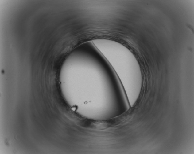X0000097860221200803140903