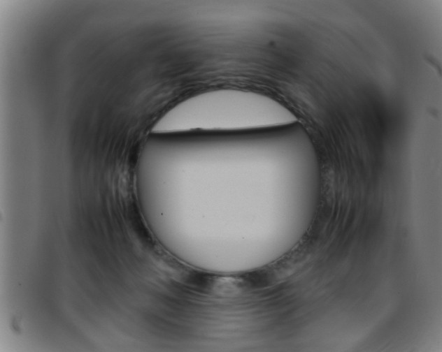 X0000097860222200803140903