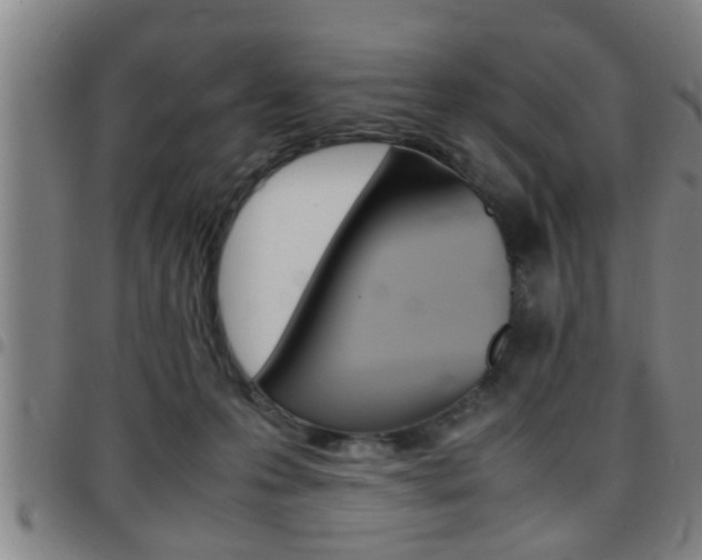 X0000097860223200803140903