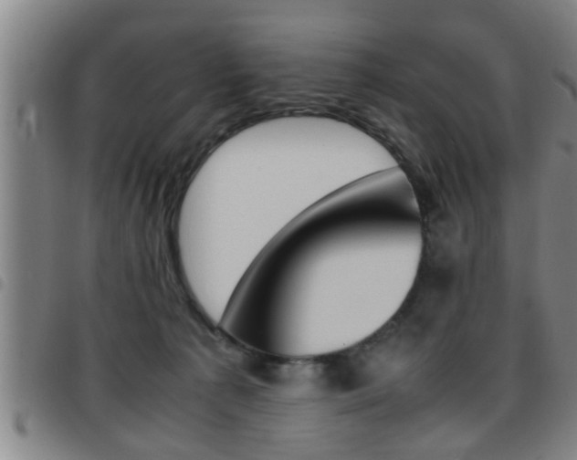 X0000097860225200803140903