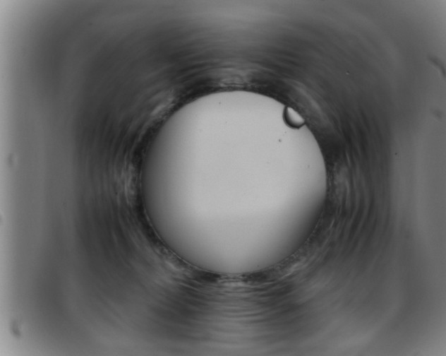 X0000097860228200803140903
