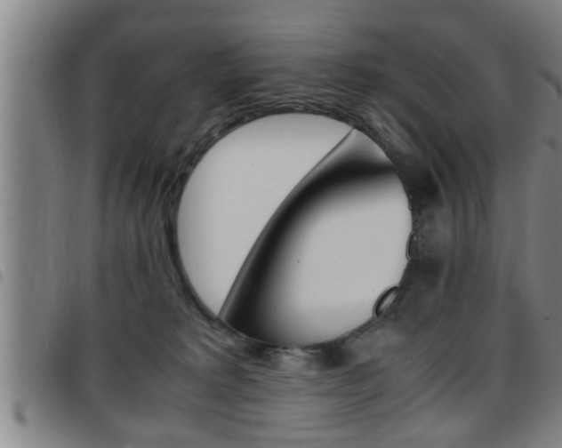 X0000097860229200803140903