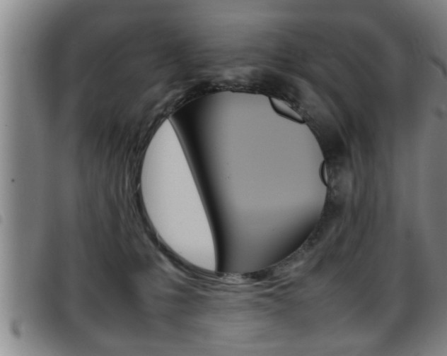 X0000097860231200803140903