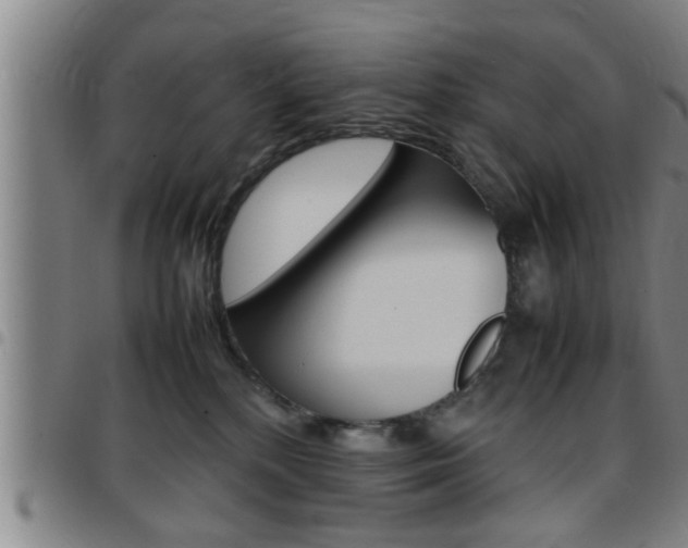 X0000097860232200803140903