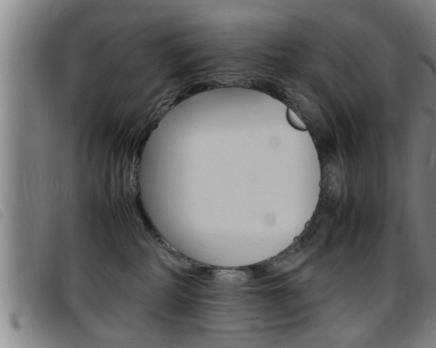 X0000097860234200803140903