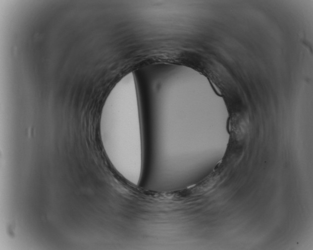 X0000097860235200803140903