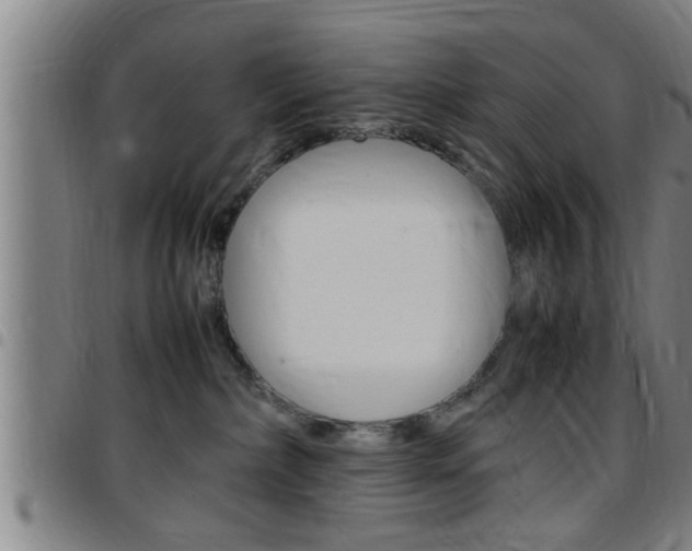 X0000097860236200803140903
