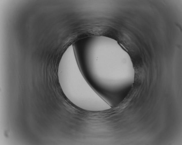 X0000097860237200803140903