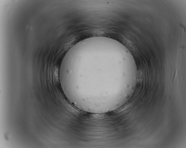 X0000097860238200803140903