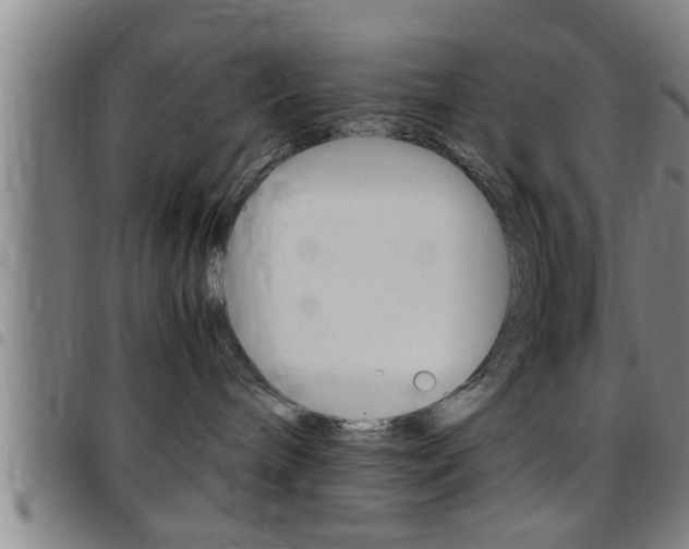 X0000097860240200803140903