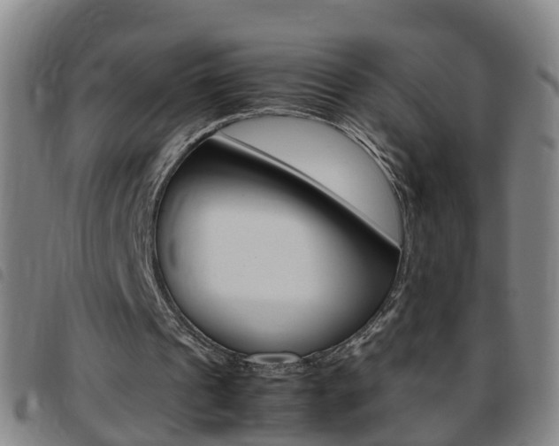 X0000097860241200803140902