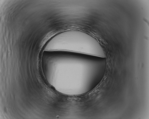 X0000097860242200803140902