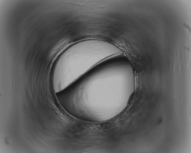 X0000097860243200803140902