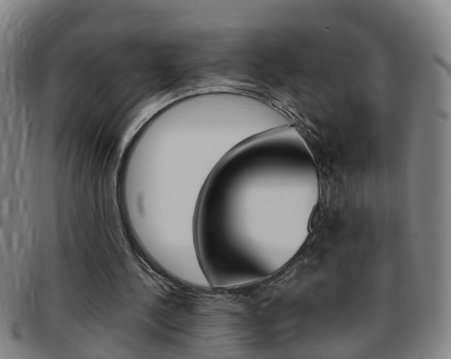 X0000097860244200803140902