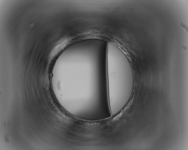 X0000097860245200803140902