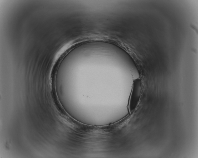 X0000097860246200803140902