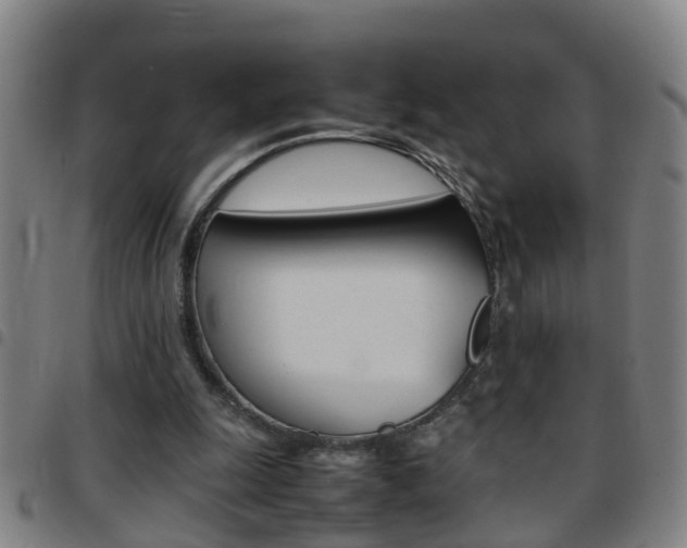 X0000097860247200803140902