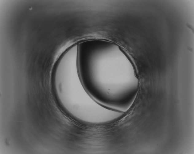 X0000097860248200803140902