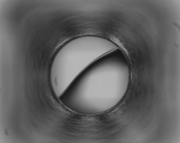 X0000097860249200803140902