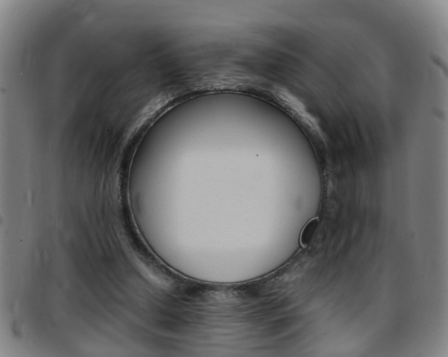 X0000097860250200803140902