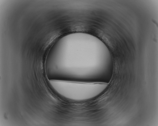X0000097860251200803140902