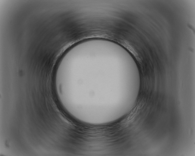 X0000097860252200803140902