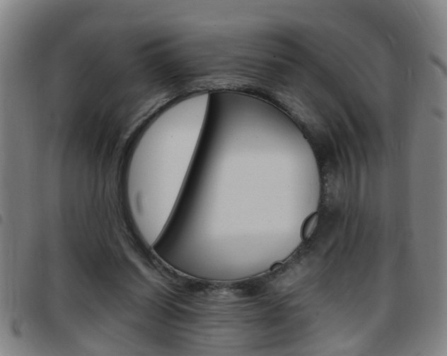 X0000097860254200803140902