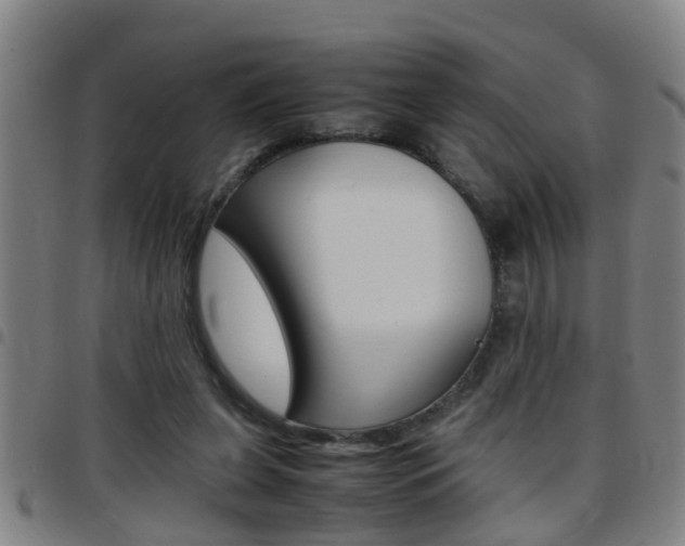 X0000097860255200803140902