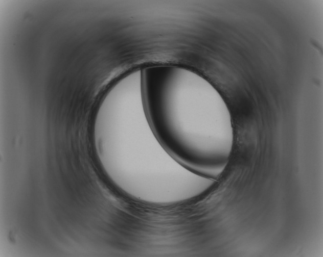 X0000097860256200803140902