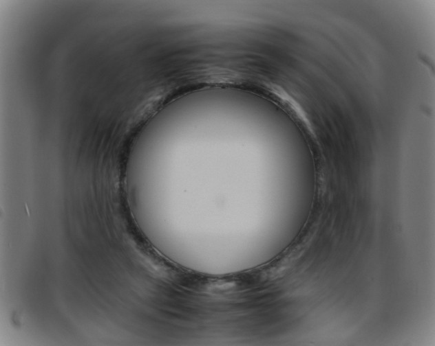 X0000097860257200803140902