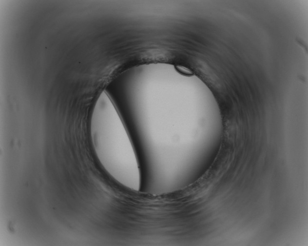 X0000097860259200803140903