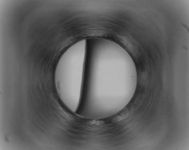 X0000097860261200803140903
