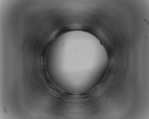 X0000097860264200803140903