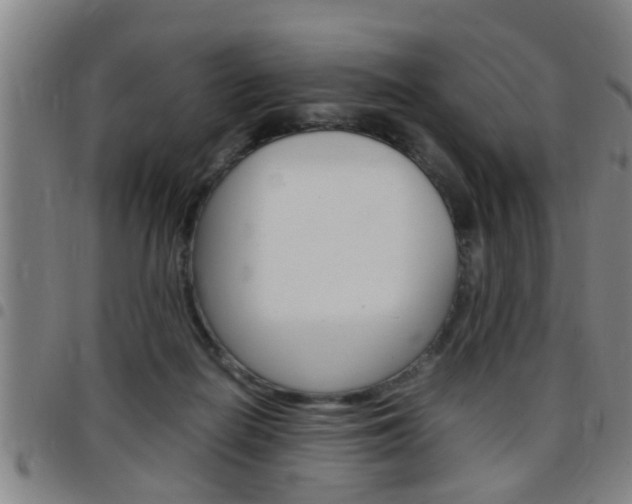 X0000097860266200803140903