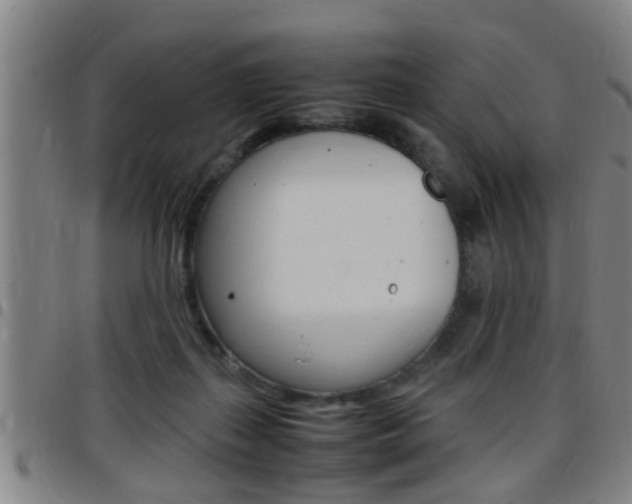 X0000097860267200803140903