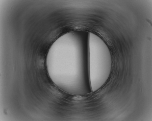 X0000097860269200803140903