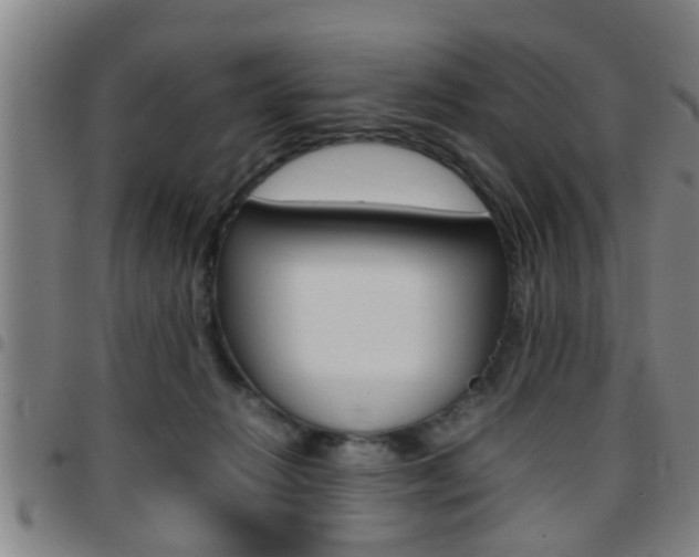 X0000097860270200803140903