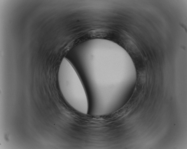 X0000097860271200803140903