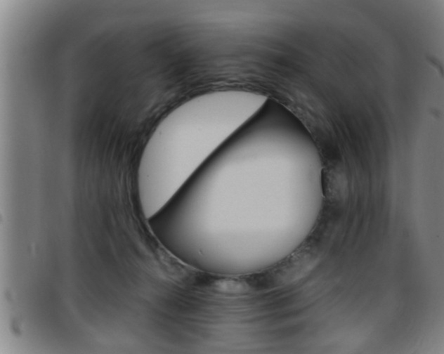 X0000097860272200803140903
