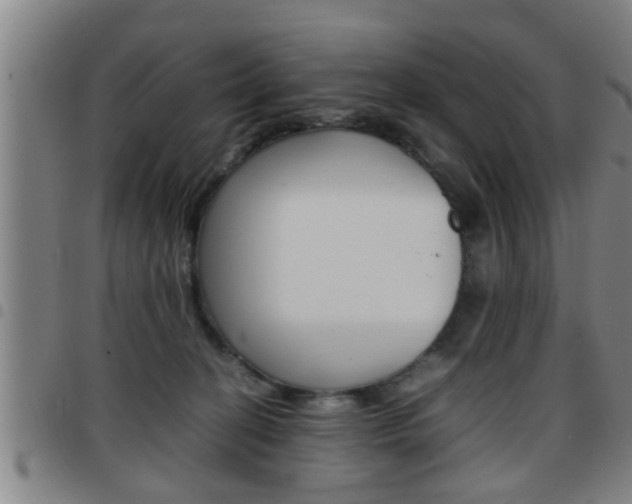 X0000097860274200803140903