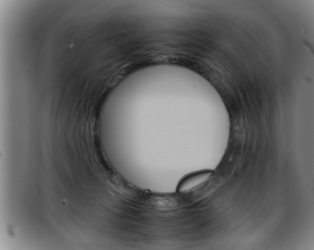 X0000097860275200803140903