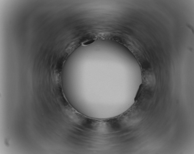 X0000097860276200803140903