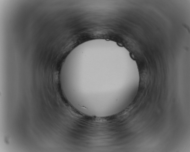 X0000097860278200803140903
