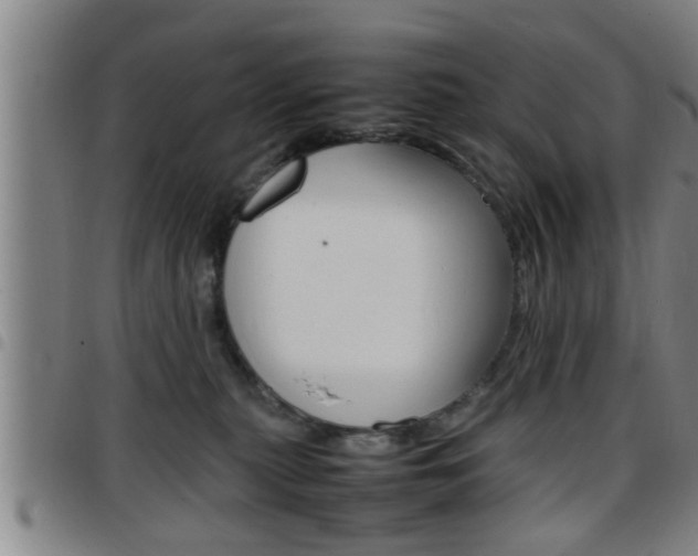 X0000097860279200803140903