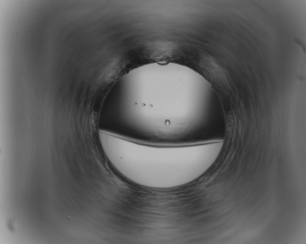 X0000097860280200803140903