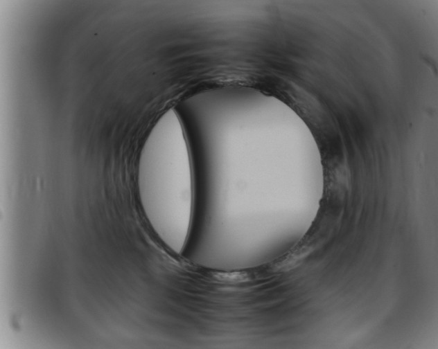 X0000097860281200803140903